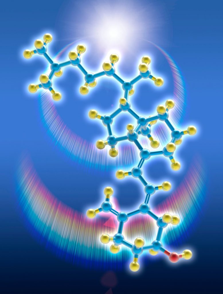 Modell von Vitamin-D-Moleküls